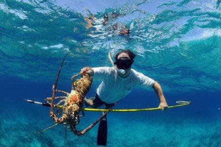 Exploring the Rich Culture with Best Thrilling Adventures of Fijian Spearfishing & Home-Stay Tour